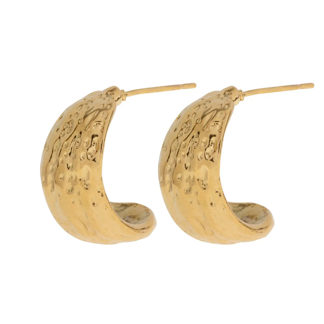 Ezri - Walnut Stud Earrings Stainless Steel